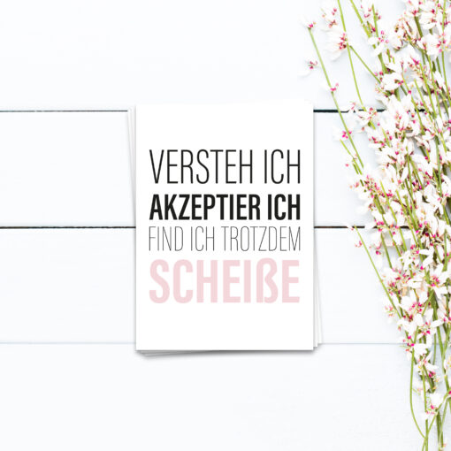 Versteh ich, akzeptier ich, find ich trotzdem scheiße - Postkarte